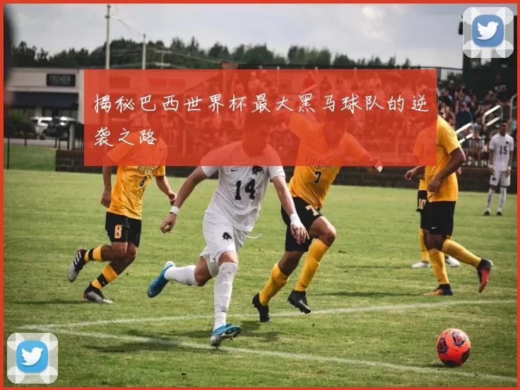 揭秘巴西世界杯最大黑马球队的逆袭之路