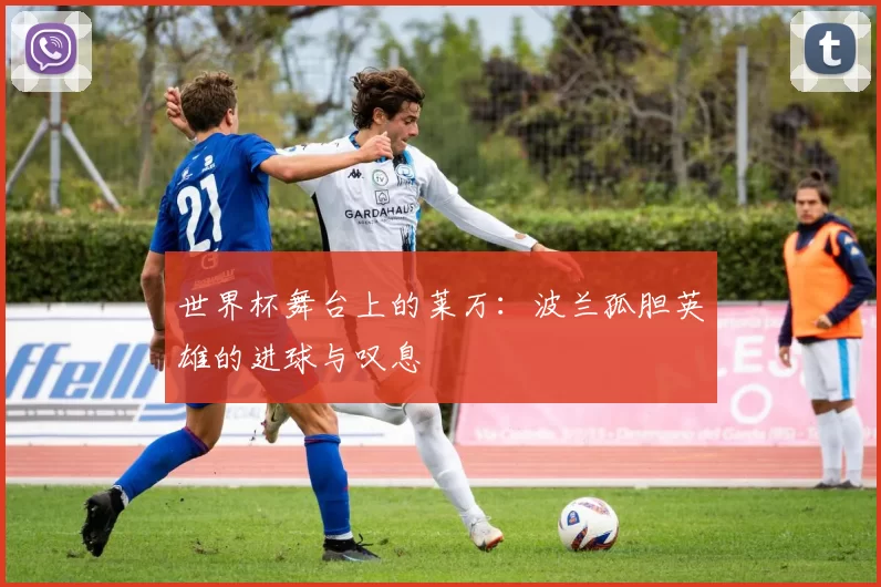世界杯舞台上的莱万：波兰孤胆英雄的进球与叹息