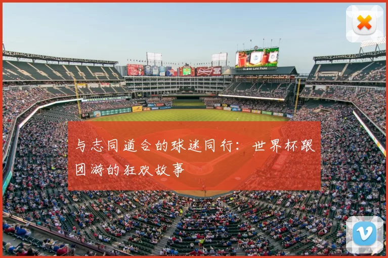 与志同道合的球迷同行：世界杯跟团游的狂欢故事