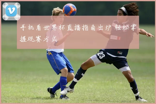 手机看世界杯直播指南出炉 轻松掌握观赛方式