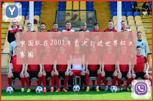 中国队在2001年首次打进世界杯决赛圈