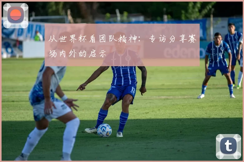 从世界杯看团队精神:专访分享赛场内外的启示