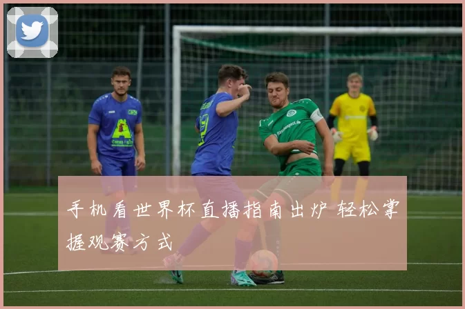 手机看世界杯直播指南出炉 轻松掌握观赛方式