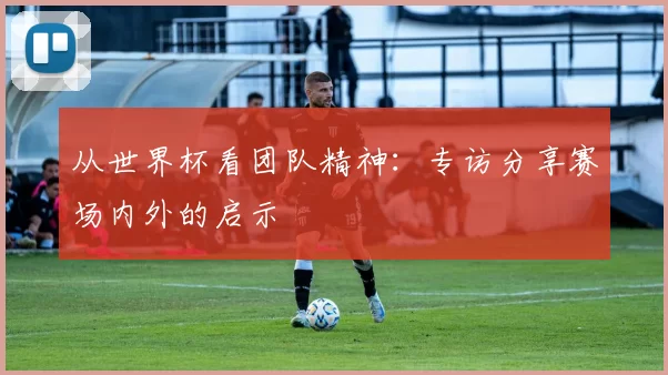 从世界杯看团队精神：专访分享赛场内外的启示