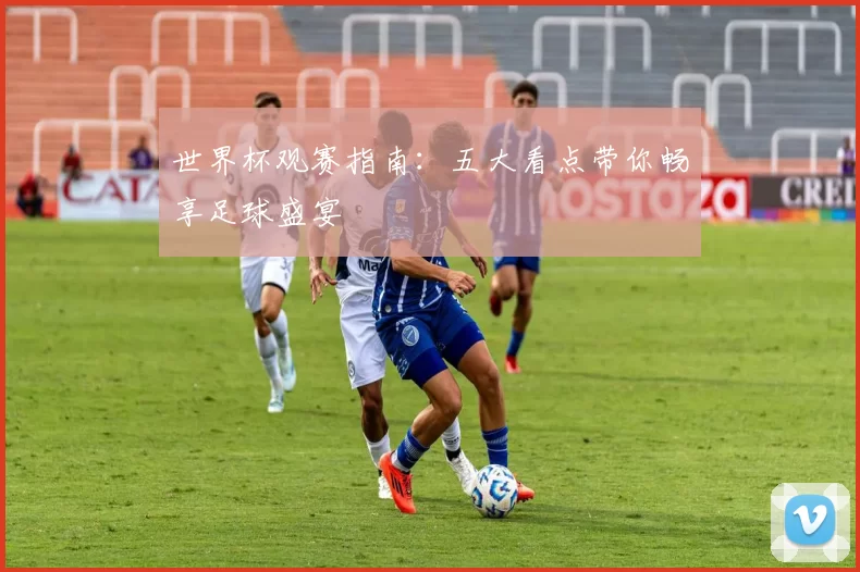 世界杯观赛指南：五大看点带你畅享足球盛宴