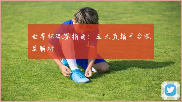 世界杯观赛指南：五大直播平台深度解析