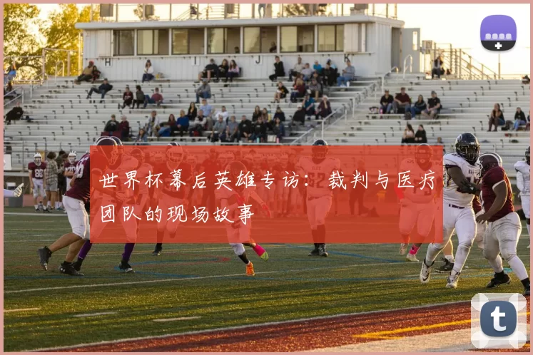 世界杯幕后英雄专访：裁判与医疗团队的现场故事