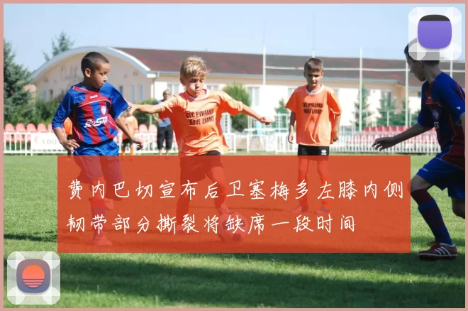 费内巴切宣布后卫塞梅多左膝内侧韧带部分撕裂将缺席一段时间