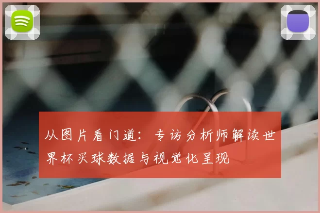 从图片看门道：专访分析师解读世界杯买球数据与视觉化呈现