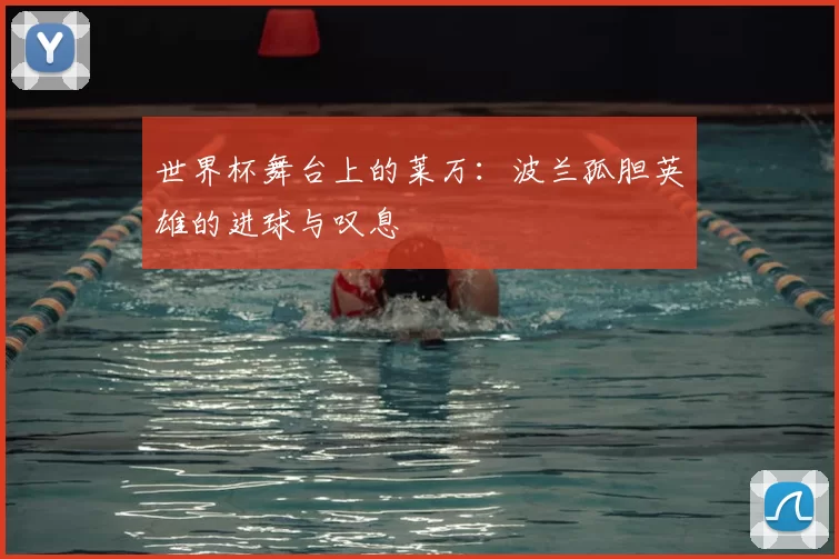 世界杯舞台上的莱万：波兰孤胆英雄的进球与叹息